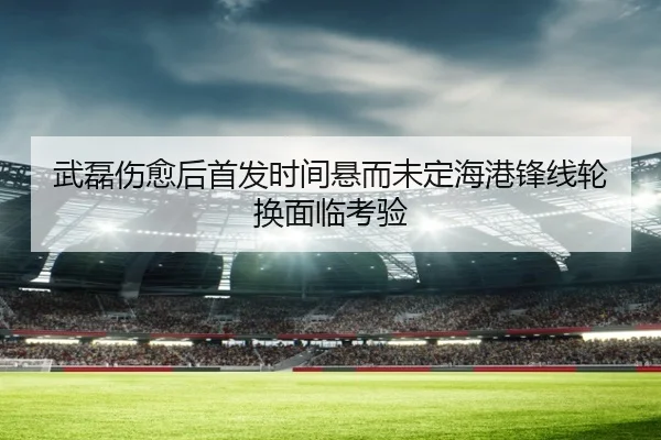 武磊伤愈后首发时间悬而未定海港锋线轮换面临考验